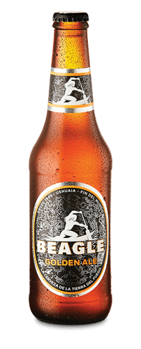 Cerveza Beagle Golden Ale - Botella 330ml