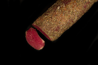 LAS DINAS Bresaola Hierbas (Precio x Kilo)