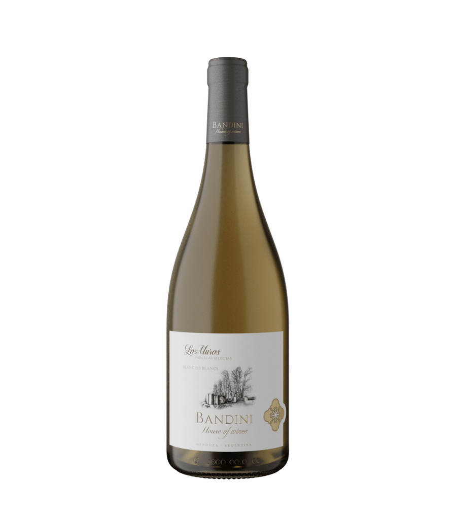 Bandini - Los Muros Botella 750c