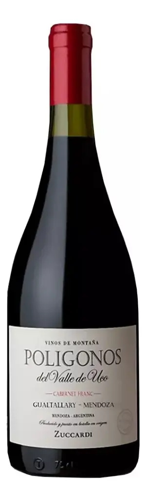 [00100187408] Poligonos Gualtallary Botella 750c (Cabernet Franc)