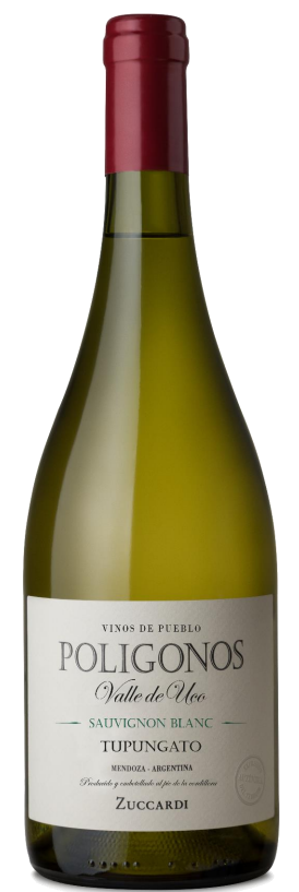 Poligonos Tupungato Botella 750c