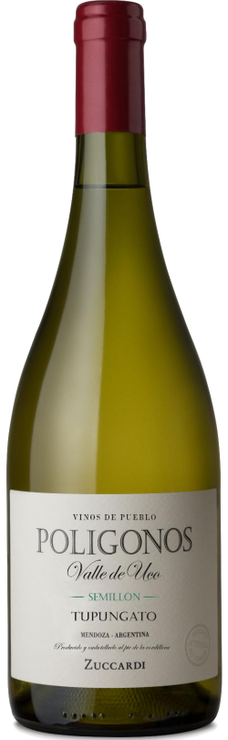 Poligonos Tupungato Botella 750c