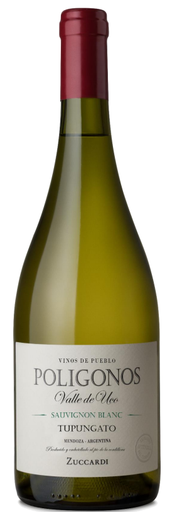 Poligonos Tupungato Botella 750c