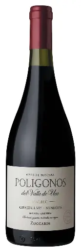 Poligonos Gualtallary Botella 750c